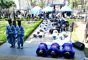 사진