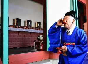 사진