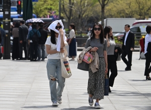 사진