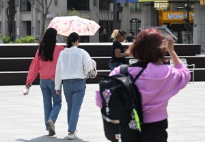 사진