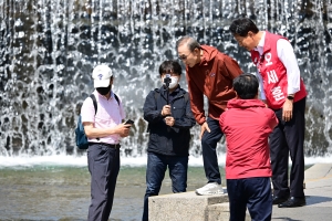 사진