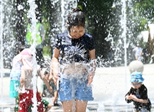 사진
