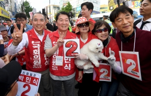 사진