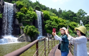 사진