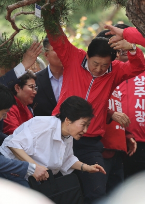 사진