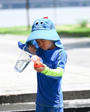 사진