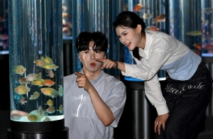 사진