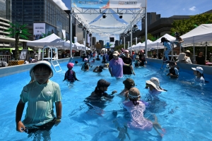 사진