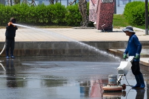 사진
