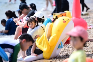 사진