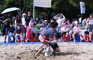 사진