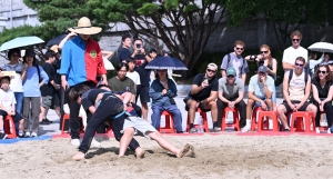 사진