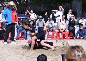 사진