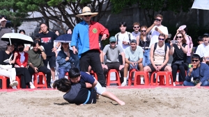 사진