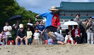 사진