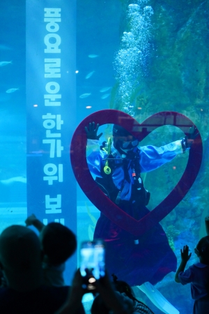 사진