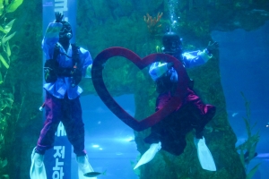 사진