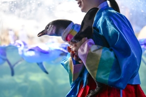 사진