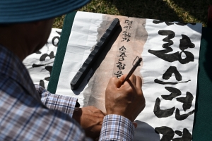 사진